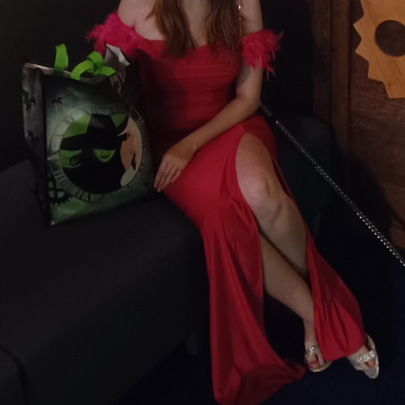 Hot Pink Feather Prom/Pageant Dress - Picture 2 of 5